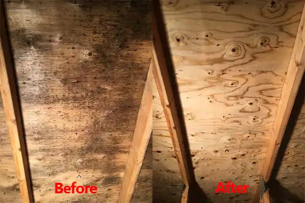 water damage restoration service North Walpole